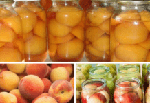 უგემრიელესი ატმის კომპოტი სტერილიზაციის გარეშე