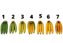 როგორი ბანანი გიყვართ? როგორ ფიქრობთ რომელი ბანანია ყველაზე სასარგებლო?