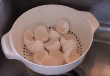 ის კვერცხი ნაჭუჭებს ღუმელში აწყობს! მიზეზი გენიალურია!