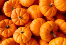 გოგრა უებარია პარაზიტების გასანადგურებლად. ნახეთ, რა სახით უნდა მივიღოთ, რომ მყისიერი ეფექტი ჰქონდეს.