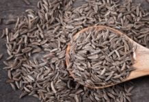 ამ სტატიაში შემოგთავაზებთ ინფორმაციას თუ რა სარგებლობის მოტანა შეუძლია თქვენი ჯანმრთელობისთვის ამ სურნელოვან სანელებელს-ძირას