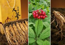 შემოგთავაზებთ ერთ-ერთი უძლიერესი სამკურნალო საშუალების რეცეპტს, რომელიც ნაწლავებში დარჩენილ მავნე ნარჩენებს გამოდევნის.