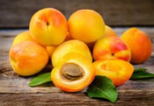 გარგარის მწარე კურკის უნიკალური, სასარგებლო თვისებები