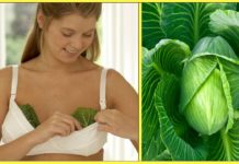 თეთრი კომბოსტოს გამოყენებით ხველებას და ყელის ტკივილს გაიქრობთ – ეფექტური რეცეპტი