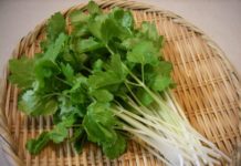 ნიახურის ზეთი – ეფექტური დახმარება ასაკობრივი ლაქების, დეპრესიისა და შეშუპებების წინააღმდეგ!!