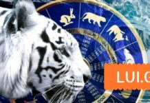 შავი წყლის ვეფხვი – რომელი ზოდიაქოს ნიშნებებისთვის იქნება 2022 წელი ფინანსურად წარმატებებული LUI.GE (2)