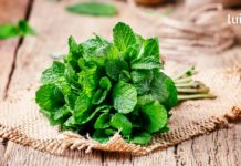 დაამარცხეთ ნევროზი ხალხური მეთოდებით. მათი ეფექტურობა დადასტურებულია!