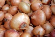 აღმოჩნდა, რომ ხახვი შესანიშნავი საშუალებაა სისხლში შაქრის დონის შესამცირებლად!.. იცოდით ამის შესახებ?