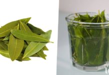 გამოიყენეთ ეს სასწაულ მოქმედი ფოთლები მათი ათობით სასარგებლო თვისების გამო, გასაოცარია!