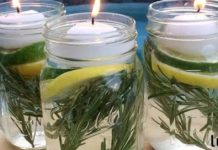 მოარიდეთ მწერები თქვენი სახლიდან ამ არატოქსიკური მწერების საწინააღმდეგო საშუალება