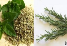 4 სანელებელი, რომელიც კლავს ბაქტერიებს და იცავს უჯრედებს