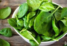 ამ მცენარეს „ღვთის საჩუქარს“ უწოდებენ, რადგან მას შეუძლია 100-ზე მეტი დაავადების განკურნება!