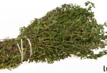 ეს საოცრებაა! დაემშვიდობეთ თავბრუსხვევას, ფიბრომიალგიას, მგლურას, ართრიტს, ქრონიკულ დაღლილობას და ფარისებრი ჯირკვლის პრობლემებს და სხვას!