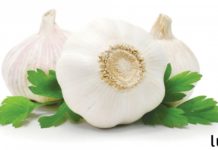 ნიორს შეუძლია მძიმე დაავადებების და 13 ინფექციის მოკვლა. მაგრამ რატომ არ უნიშნავენ მას ექიმები?