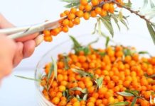 უნიკალური ბუნებრივი საშუალება წონის დაკლებისთვის! მარტივი და ეფექტურია