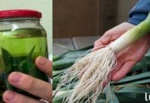 ასე მოაგვარა ბაბუამ შაქრიანი დიაბეტის ყველა პრობლემა სულ რაღაც 7 დღეში და აღარასოდეს შეუწუხებია მას!