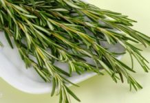 რატომ უნდა გამოიყენოთ როზმარინი ყოველდღე? ეს უნდა იცოდეთ!