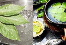 რატომ უნდა დავლიოთ დაფნის ნაყენი?