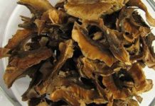 კაკლის უღლის სასარგებლო თვისებები – მის ნარჩენებს აღარასდროს გადაყრით!