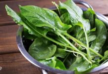 ეს მცენარე ფართოდ გამოიყენება ხალხურ მედიცინაში მრავალი დაავადების სამკურნალოდ – აი რა უნდა იცედეთ!