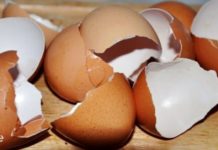 ამის შემდეგ თქვენ აღარასოდეს გადააგდენთ კვერცხის ნაჭუჭს! – ეს აუცილებლად უნდა იცოდეთ!