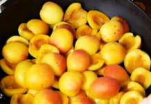 დაბალი მაგნიუმის ადრეული ნიშნები თქვენს სხეულში! ეს შეიძლება იყოს ძალიან საყურადღებო თქვენი ჯანმრთელობისთვის!