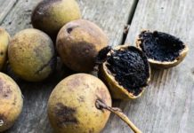 ფარისებრი ჯირკვლის პრობლემების საერთო სიმპტომები და მეთოდი როგორ ვუმკურნალოთ მას ხალხური მედიცინით!