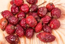 მწვავე და ქრონიკული გასტრიტი – ამ დაავადებას მსოფლიოში ბევრი ადამიანი ებრძვის. გაიგეთ როგორ უნდა უმკურნალოთ მას ხალხური მედიცინის დახმარებით!