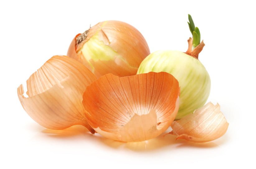 5 Ways to Use Onion Husks 6