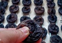 როგორ გამოვიყენოთ ლეღვის ჩირი კუჭ-ნაწლავის პრობლემების მოსაგვარებლად და სისხლის მდგომარეობის გასაუმჯობესებლად!