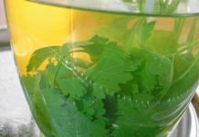 ეს ჩაი საუკეთესო საშუალებაა ფეხების შეშუპებისთვის! – ძალიან ეფექტური ნაყენი!