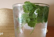 გაწუხებთ თირკმელებში კენჭები? აი, როგორ გაიწმინდოთ თირკმელები! შესანიშნავი საშუალება, რომელიც დაგეხმარებათამ არა მხოლოდ ამ პრობლემის მოგვარებაში!…