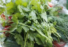 გამაფრთხილებელი ნიშნები იმისა, რომ თქვენს სხეულს აკლია მაგნიუმი, კალიუმი და კალციუმი! და როგორ გამოვასწოროთ ეს!