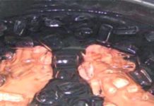 მსოფლიოს ექსპეტრები გვირჩევენ თუ როგორ აღვადგინოთ იმუნური სისტემა სულ რაღაც 15 წამში! – ეს ნამდვილად შესაძლებელია!