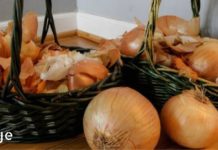 არ ვიცოდი ხახვის ფურცლებს ამდენი სარგებლის მოტანა თუ შეეძლო!