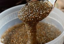 ჩიას პაწაწინა მარცვლები ჯანმრთელობის დიდი სარგებლით!