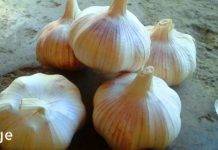 დახშული არტერიების 4 ნიშანი და მეთოდი თუ როგორ გავწმინდოთ ისინი ბუნებრივად!