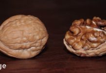 მიირთვით 5 ნიგოზი და დაელოდეთ 4 საათი: აი რა მოხდება!