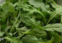 მოიშორეთ ტოქსინები თქვენი ორგანიზმიდან 48 საათის განმავლობაში! ეს არის საუკეთესო დეტოქსიური დიეტა!