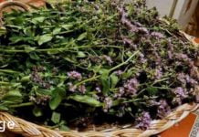 რეცეპტი სტრეპტოკოკული სტენოკარდიის, სინუსიტისა და სხვადასხვა ინფექციების სამკურნალოდ!