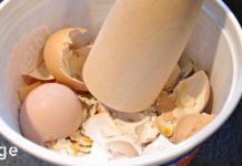 არ გადაყაროთ კვერცხის ნაჭუჭი. ნახეთ, რამდენ პრობლემას აგვარებს ის!