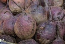 ჭარხალი – წარმოუდგენელი ბოსტნეული: მას შეუძლია დაგეხმაროთ ამ 11 დაავადების განკურნებაში!