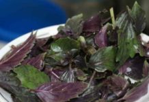 ღმერთმა გვაჩუქა ეს ბუნებრივი ანტიბიოტიკი! რეჰანი არის ყველაზე ძლიერი ანტიოქსიდანტი, რომელიც ასუფთავებს არტერიებს ქოლესტერინისგან!