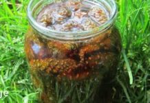 ამ ძლიერი ხალხური რეცეპტის დახმარებით სისხლძარღვები სრულად გაიწმინდება და წნევაც დანორმალიზდება!