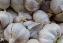 8 მწვანილი და სანელებლები, რომელიც გაგიწმენდთ ნაწლავებს პარაზიტებისგან, სწრაფად და უსაფრთხო!