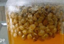 7 წარმოუდგენელი მეთოდი, რომელიც ჩვენმა ბებია-ბაბუამ გამოიყენეს და რომელიც ნამდვილად მოქმედებს!