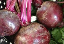 წამალი, რომელიც აბრუნებს მხედველობას, აუმჯობესებს მსხვილი ნაწლავის ფუნქციას და შლის ცხიმს ღვიძლიდან!