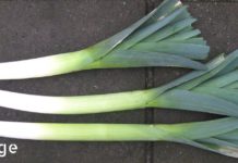 დაემშვიდობეთ დიაბეტს წამლების გარეშე! სცადეთ და შედეგით გაოცებული დარჩებით!