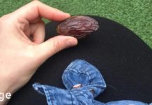 ფინიკი ყველაზე ჯანსაღი ხილია პლანეტაზე!