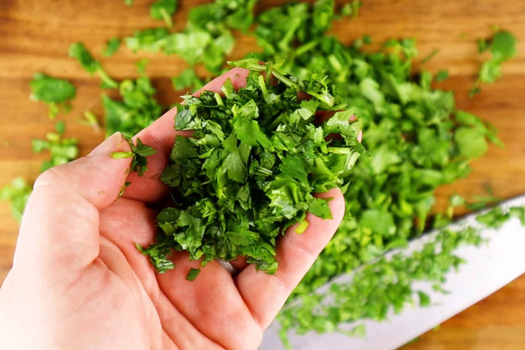 how to cut cilantro 14
